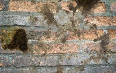 Found a Chimney Leak? Don’t Wait Until Spring to Fix It