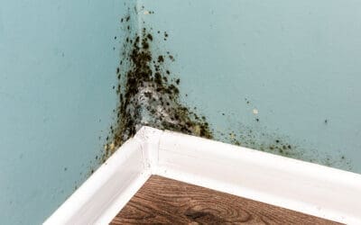 What Could Happen if You Leave Your Chimney Leak Untouched?